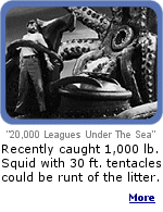 The giant squid that attacked Captain Nemo's ship, the Nautilus in Jules Verne's ''Twenty Thousand Leagues Under the Sea'', might really exist.